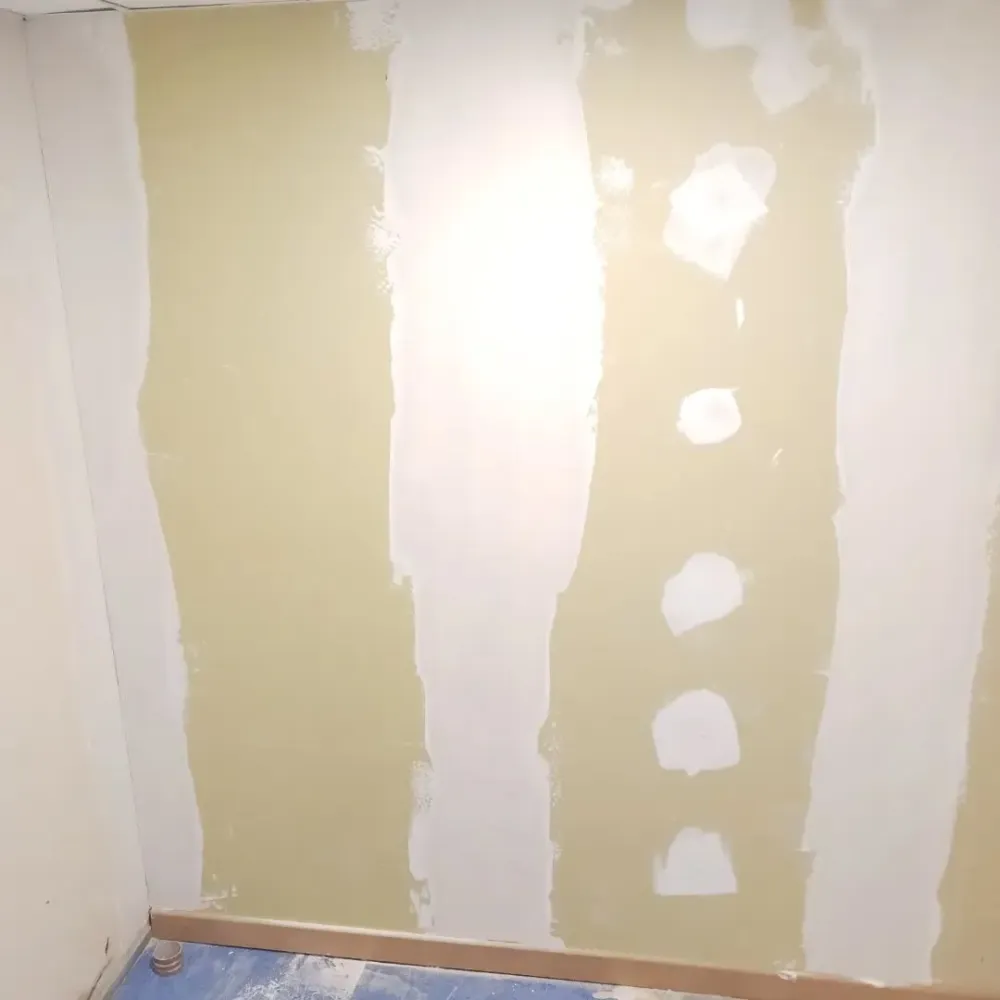 Plaquiste près de Bourg-en-Bresse